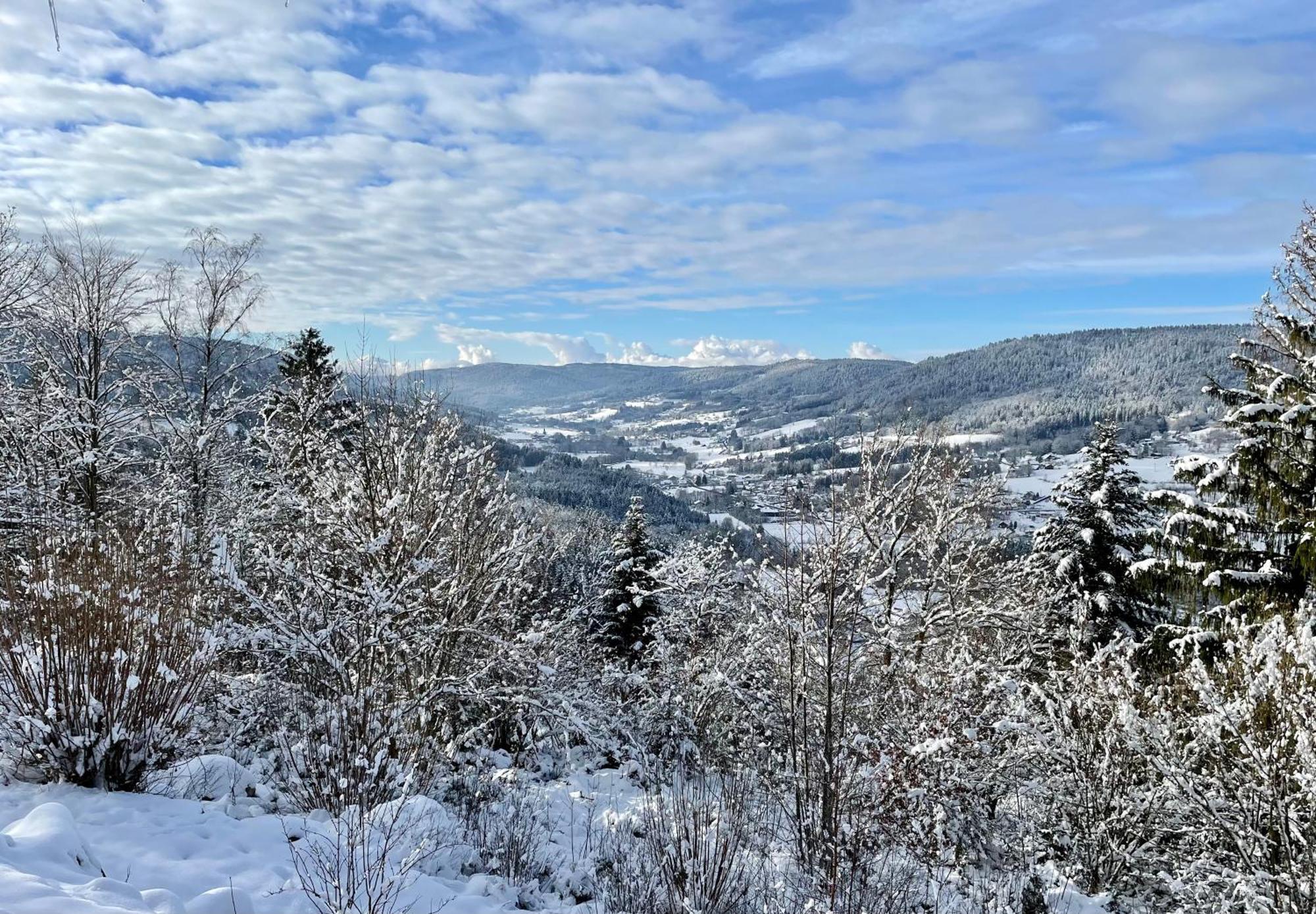 Le Gite Cozy De Bouvacote Avec Vue Panoramique Et Sauna Le Tholy Buitenkant foto