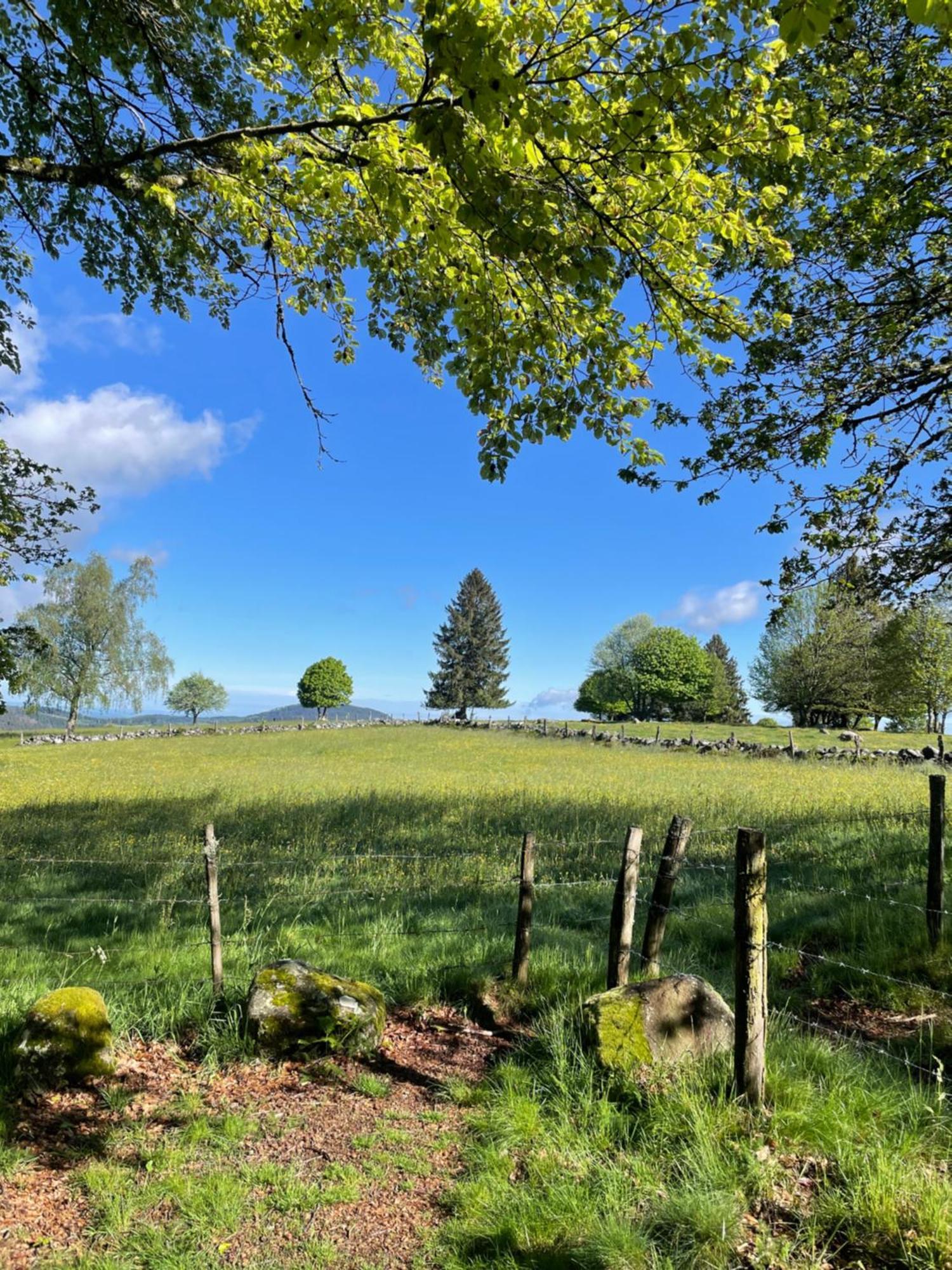 Le Gite Cozy De Bouvacote Avec Vue Panoramique Et Sauna Le Tholy Buitenkant foto