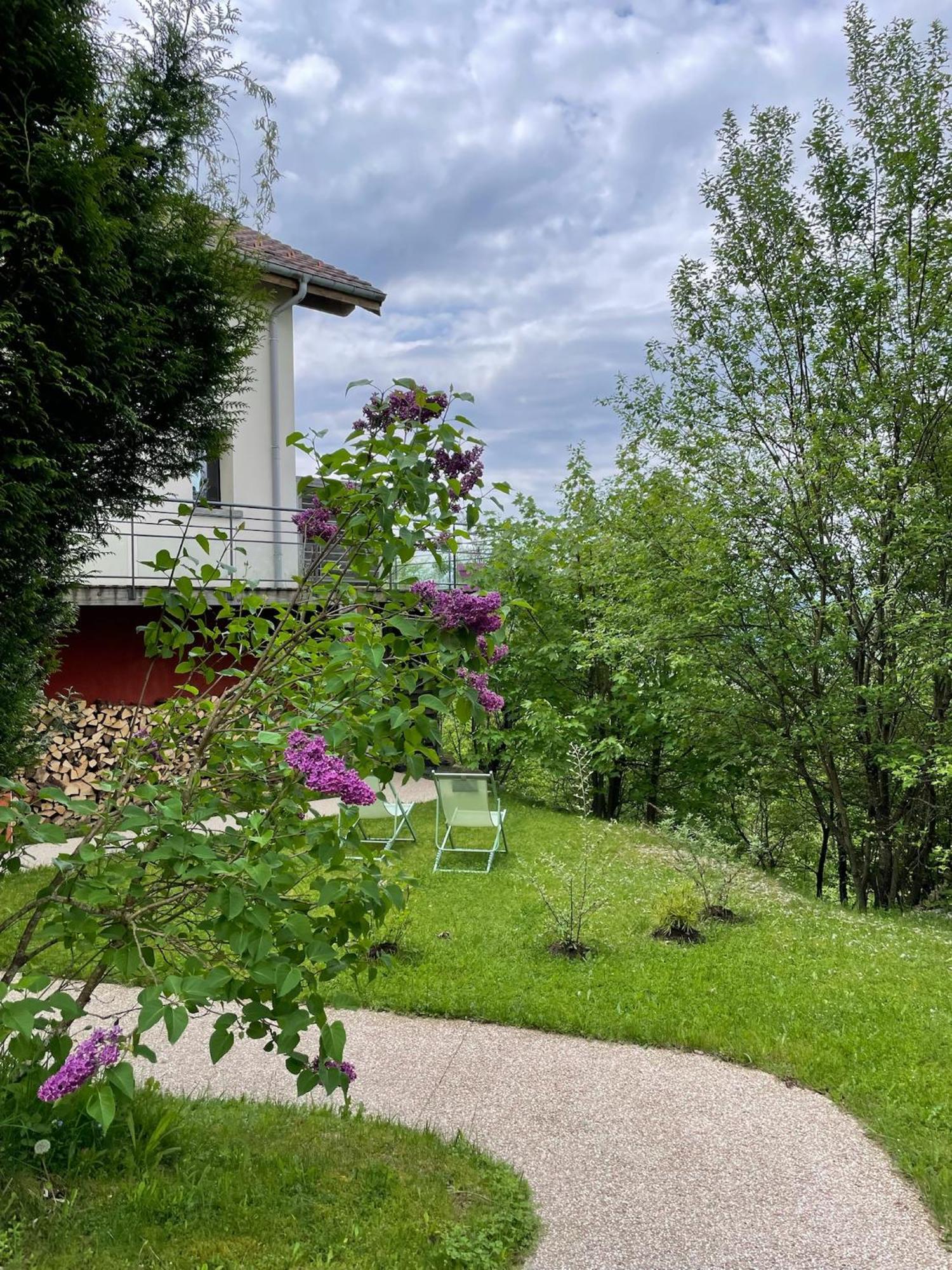 Le Gite Cozy De Bouvacote Avec Vue Panoramique Et Sauna Le Tholy Buitenkant foto